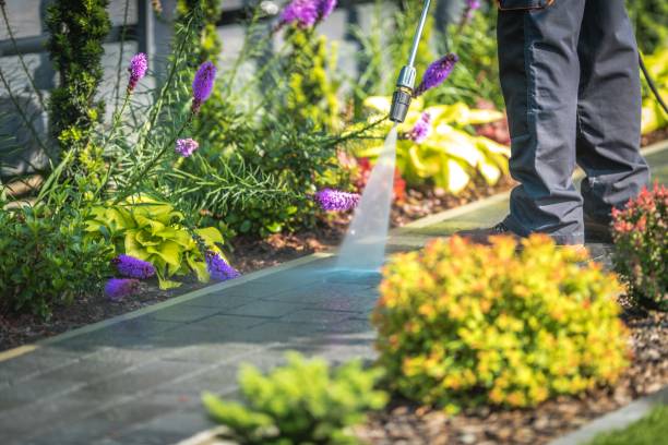 Trusted Maltby, WA Pressure Washing Services Experts